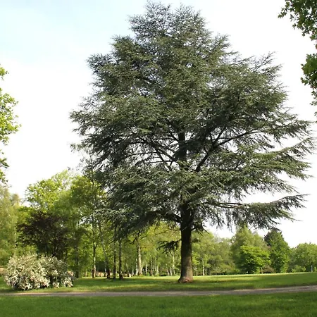 Manoir De Montigny