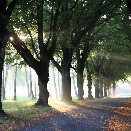 Manoir De Montigny 酒店 *